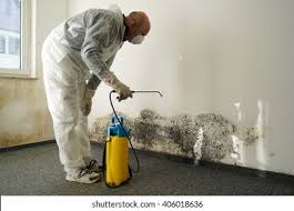 Best Biohazard Mold Removal  in Frankfort Square, IL